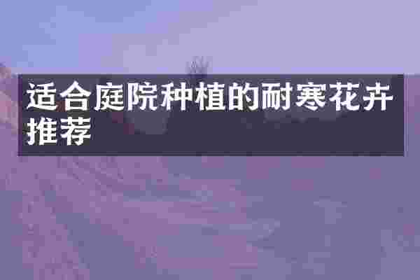 适合庭院种植的耐寒花卉推荐
