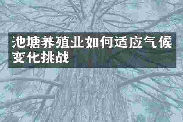 池塘养殖业如何适应气候变化挑战