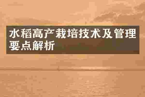 水稻高产栽培技术及管理要点解析