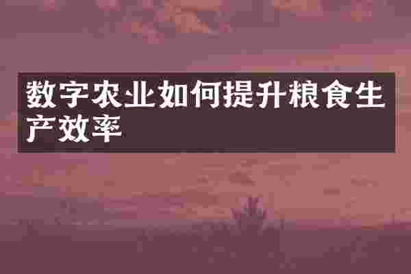 数字农业如何提升粮食生产效率
