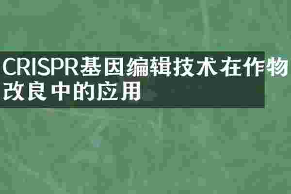 CRISPR基因编辑技术在作物改良中的应用