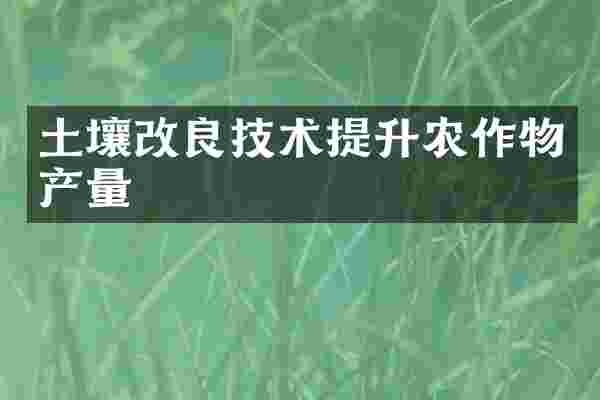 土壤改良技术提升农作物产量