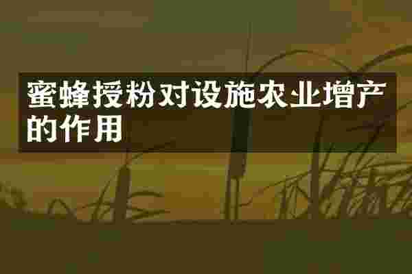 蜜蜂授粉对设施农业增产的作用