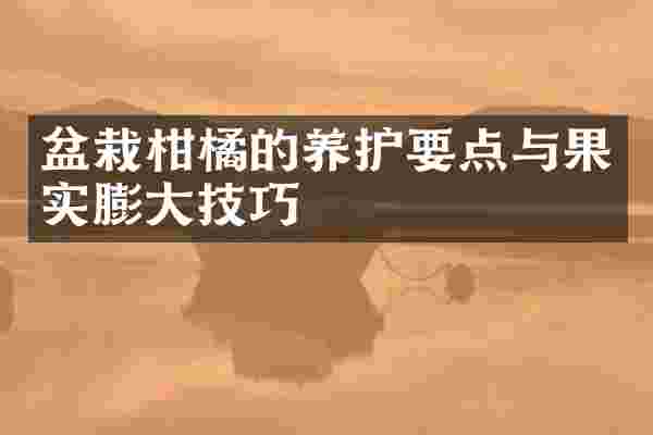 盆栽柑橘的养护要点与果实膨大技巧