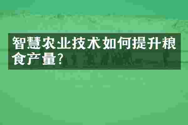 智慧农业技术如何提升粮食产量？