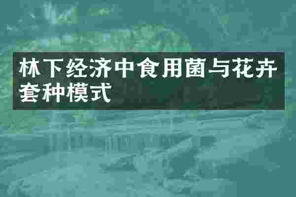 林下经济中食用菌与花卉套种模式