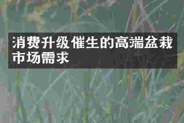 消费升级催生的高端盆栽市场需求