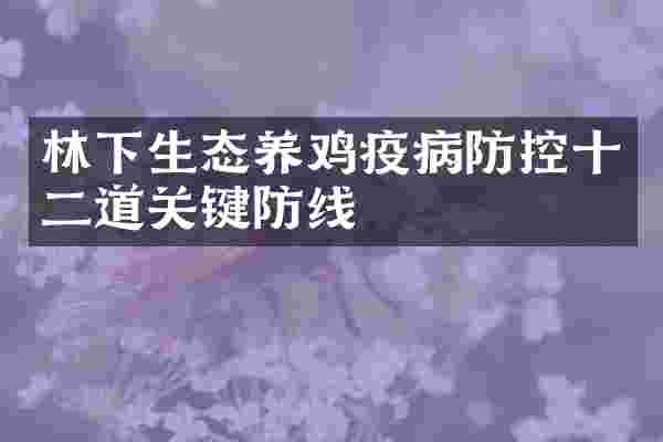 林下生态养鸡疫病防控十二道关键防线