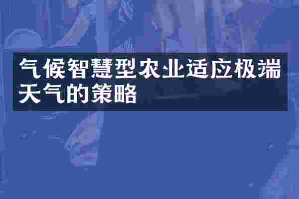 气候智慧型农业适应极端天气的策略