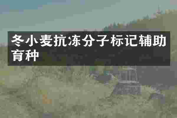 冬小麦抗冻分子标记辅助育种