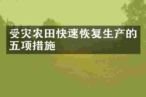 受灾农田快速恢复生产的五项措施