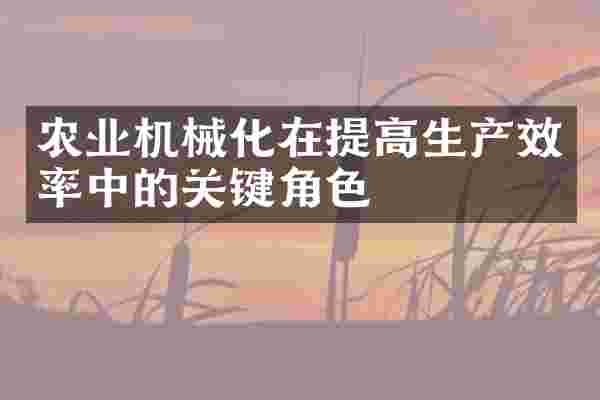 农业机械化在提高生产效率中的关键角色