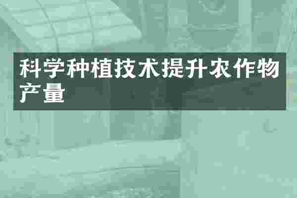 科学种植技术提升农作物产量