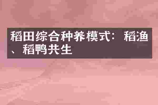 稻田综合种养模式：稻渔、稻鸭共生