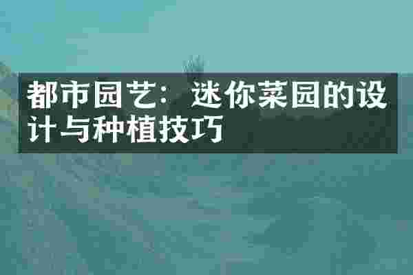 都市园艺：迷你菜园的设计与种植技巧