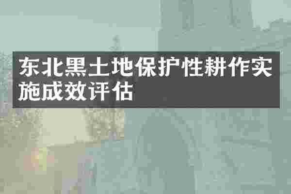 东北黑土地保护性耕作实施成效评估