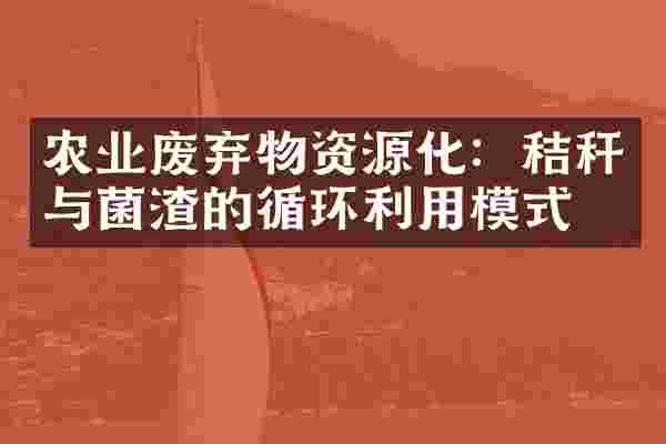 农业废弃物资源化：秸秆与菌渣的循环利用模式