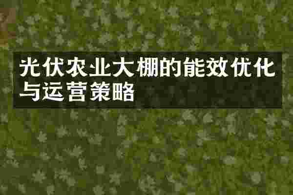 光伏农业大棚的能效优化与运营策略