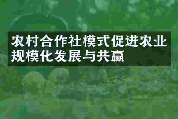农村合作社模式促进农业规模化发展与共赢