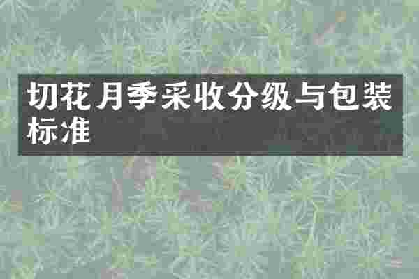 切花月季采收分级与包装标准