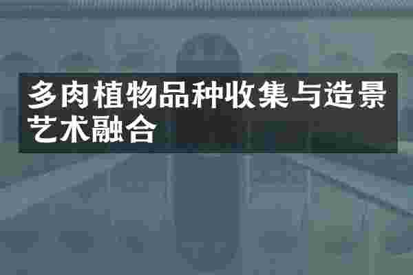 多肉植物品种收集与造景艺术融合