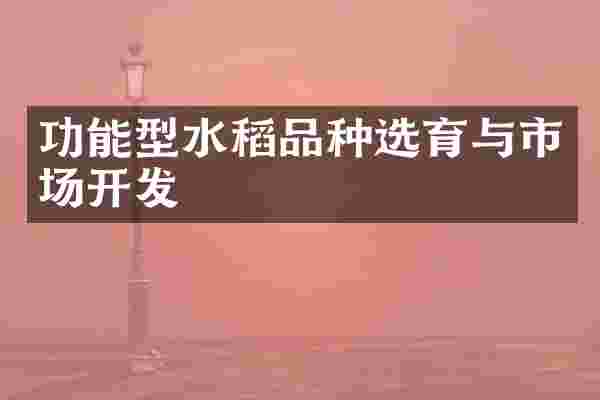 功能型水稻品种选育与市场开发