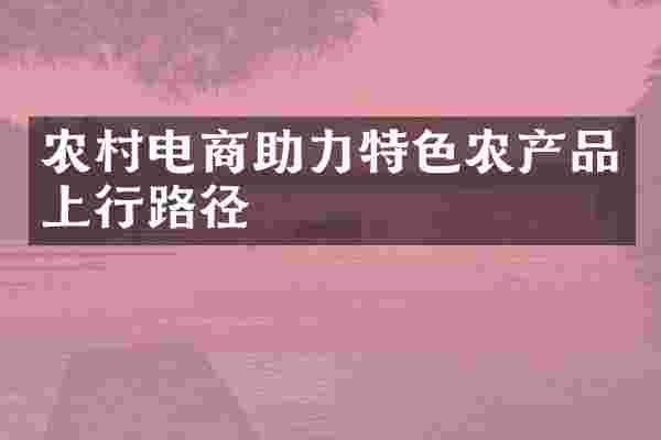 农村电商助力特色农产品上行路径