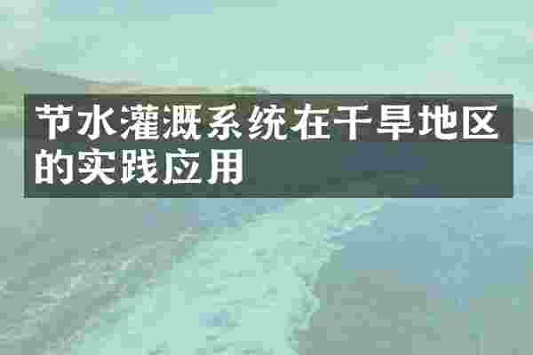 节水灌溉系统在干旱地区的实践应用