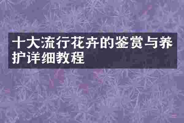 十大流行花卉的鉴赏与养护详细教程