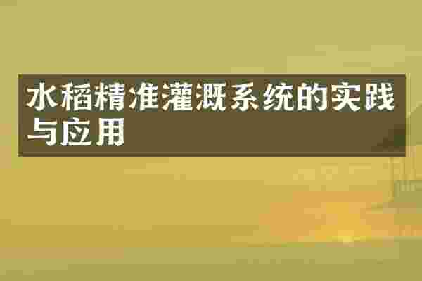 水稻精准灌溉系统的实践与应用