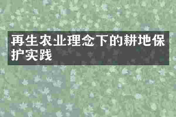 再生农业理念下的耕地保护实践
