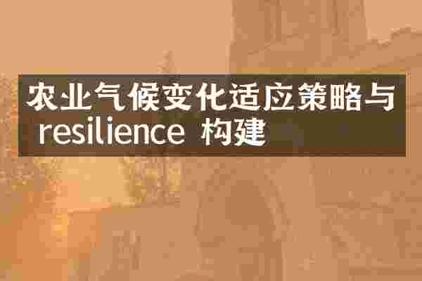 农业气候变化适应策略与 resilience 构建