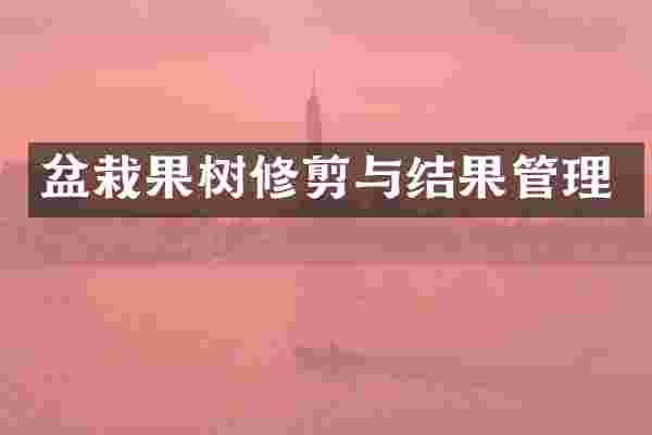 盆栽果树修剪与结果管理